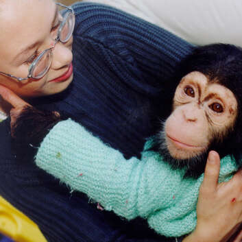 Vom langwährenden Glück eines erfüllten Herzenswunsches