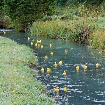 Gummienten liefern sich auf der Kander ein Wettrennen zu Gunsten der Wunderlampe