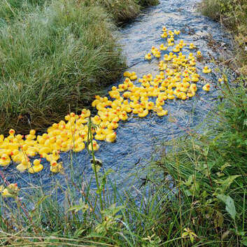 Gummienten liefern sich auf der Kander ein Wettrennen zu Gunsten der Wunderlampe