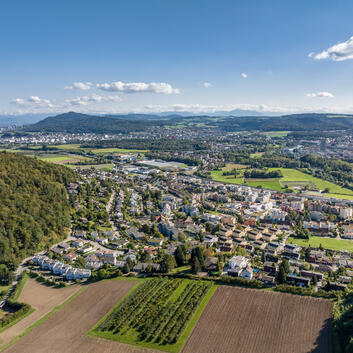 Die Gemeinde Geroldswil spendet Texaid-Erlös an die Wunderlampe