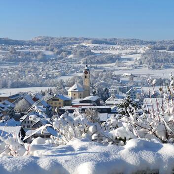 Die Primarschüler von Seengen singen für die Stiftung Wunderlampe