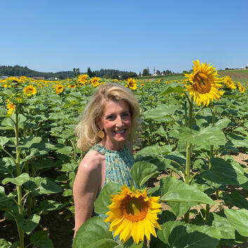 Die Wunderlampe und Sonnenblumen: viele Gemeinsamkeiten!