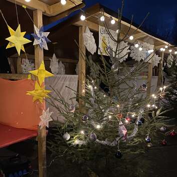 E444 Stiftung Wunderlampe_2