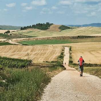 E465 Stiftung Wunderlampe_Hike for Hope_4