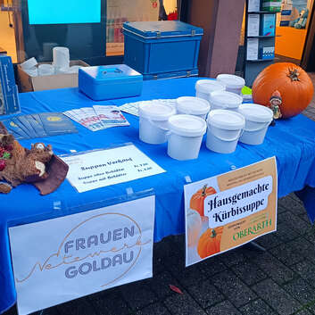 E512 Stiftung Wunderlampe_Frauen-Netzwerk Goldau Spende_2