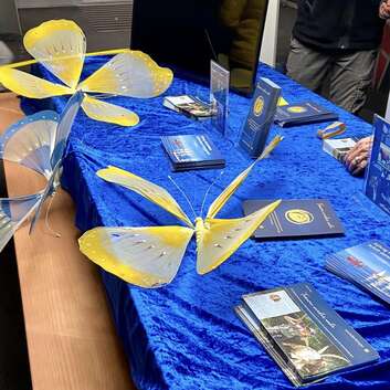 E527 Stiftung Wunderlampe_Adventsmarkt Primarschule Zumikon_2