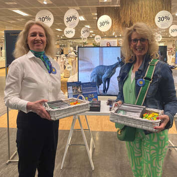 E552 Stiftung Wunderalmpe_Tag der guten Tat_Coop City_1