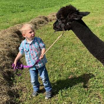 E576 Weltautismustag_2024-stiftung-wunderlampe-maerlihotel-1