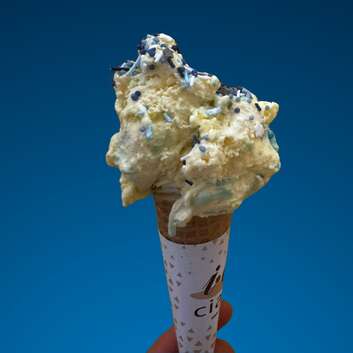 Stiftung Wunderlampe_Gelato Italiano AG