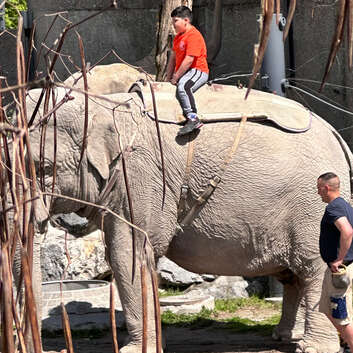 2734 Stiftung Wunderlampe_Kinderzoo Rapperswil_2
