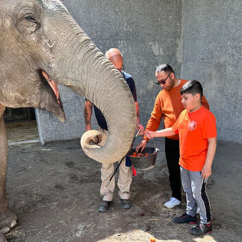 2734 Stiftung Wunderlampe_Kinderzoo Rapperswil_3