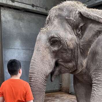 2734 Stiftung Wunderlampe_Kinderzoo Rapperswil_1