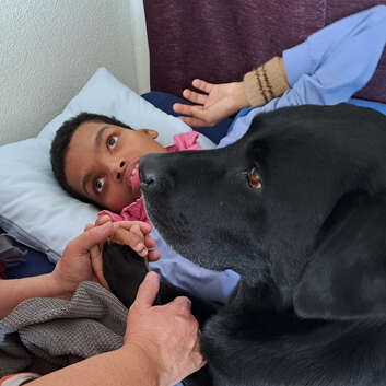 2944 Stiftung Wunderlampe_Hundetherapie_1