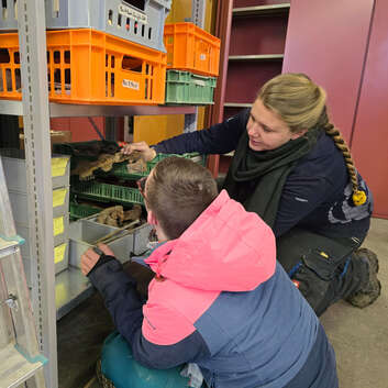 3090_Stiftung Wunderlampe_Archäologischen Ausgrabungen in Oberwinterthur_1