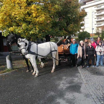 Sechs TAB-Feriengäste 