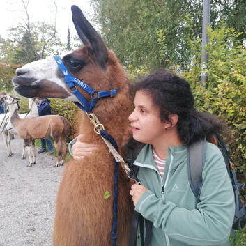 Insieme Feriengäste 