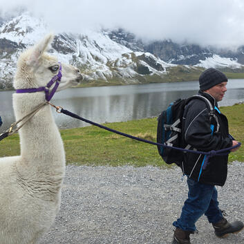 Insieme Feriengäste 