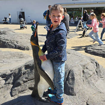 3303 Stiftung Wunderlampe_Zoo Zürich_2