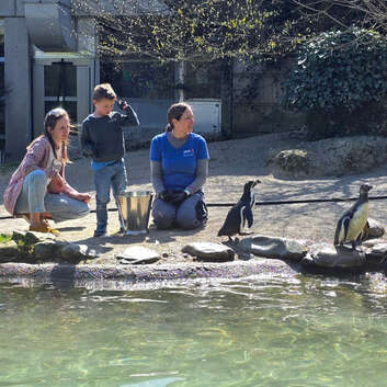 3303 Stiftung Wunderlampe_Zoo Zürich_1