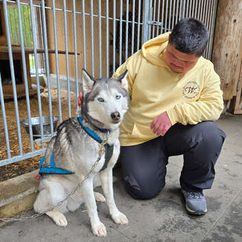 3415 Stiftung Wunderlampe_Husky Lodge in Muotathal_1