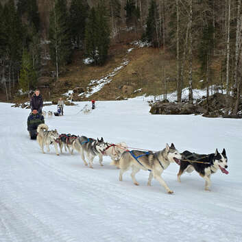 3415 Stiftung Wunderlampe_Husky Lodge in Muotathal_2