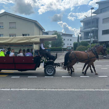 3524 Stiftung Wunderlampe_Kutschenfahrt_2