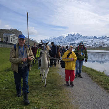 3573 Stiftung Wunderlampe_Lamatrekking_2