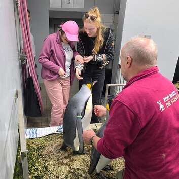 Insieme Luzern Ferienteilnehmende erkunden den Basler Zolli