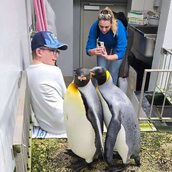 Insieme Luzern Ferienteilnehmende erkunden den Basler Zolli