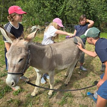 Insieme Ferienkinder