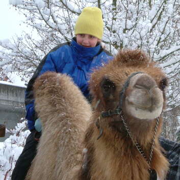 118/119 Stiftung Wunderlampe_Erlebnistag Tieren_2