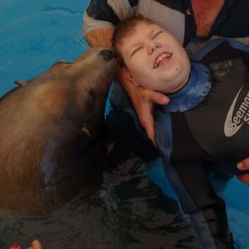 1221 Stiftung Wunderlampe_Seelöwen_1