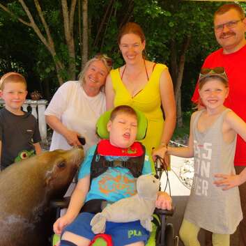 1221 Stiftung Wunderlampe_Seelöwen_3