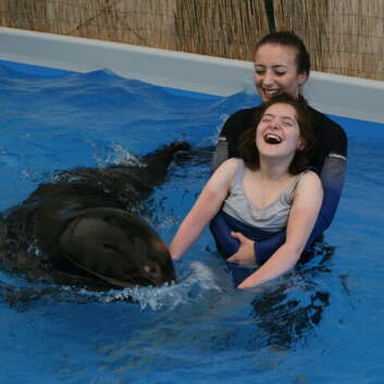 1331 Stiftung Wunderlampe_Seelöwen_1