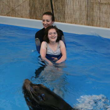 1331 Stiftung Wunderlampe_Seelöwen_2