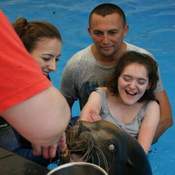 1331 Stiftung Wunderlampe_Seelöwen_3