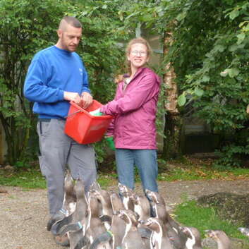 1447 Stiftung Wunderlampe_ Zoo Schildkröten_1