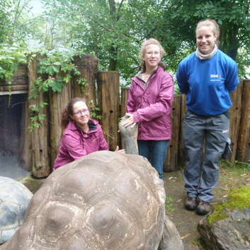 1447 Stiftung Wunderlampe_ Zoo Schildkröten_2