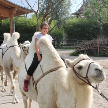 1538 Stiftung Wunderlampe_Knies Kinderzoo Rapperswil_1