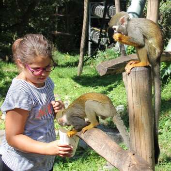 1538 Stiftung Wunderlampe_Knies Kinderzoo Rapperswil_2