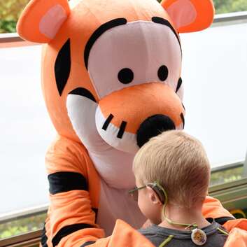 1550 Stiftung Wunderlampe_Winnie the Pooh_3