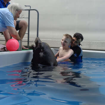 1569 Stiftung Wunderlampe_Seelöwe_2