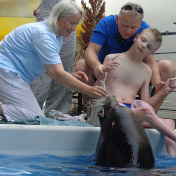 1569 Stiftung Wunderlampe_Seelöwe_3