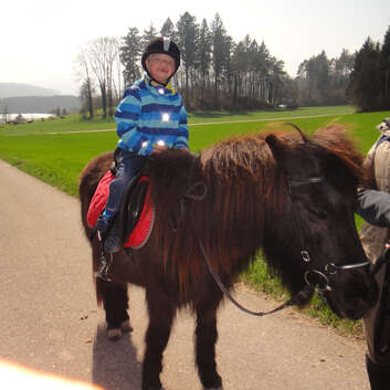 1665 Stiftung Wunderlampe_Reiterhof in der Bächlen_2