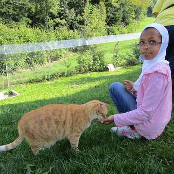 1813 Stiftung Wunderlampe_Katzengnadenhof Schnurrli_2