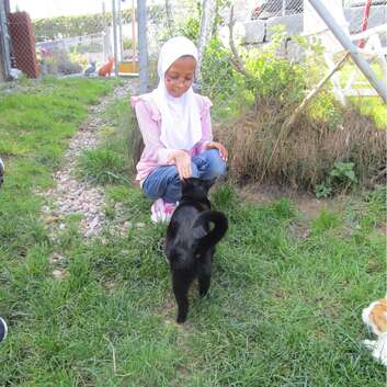 1813 Stiftung Wunderlampe_Katzengnadenhof Schnurrli_3