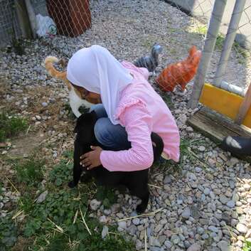 1813 Stiftung Wunderlampe_Katzengnadenhof Schnurrli_4