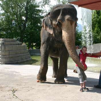 189 Stiftung Wunderlampe_Seelöwentrainer_Knies Kinderzoo_1
