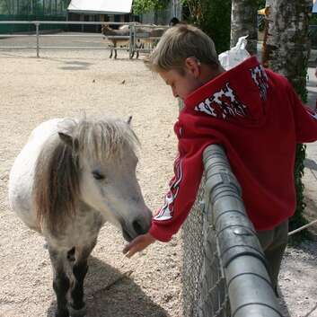 189 Stiftung Wunderlampe_Seelöwentrainer_Knies Kinderzoo_3
