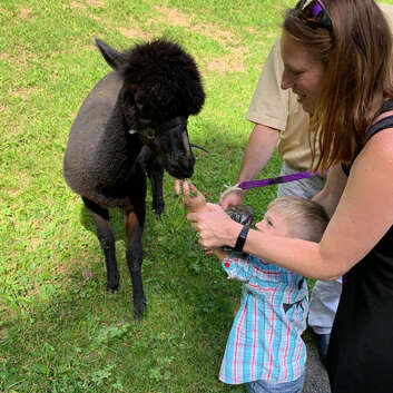 2024 Stiftung Wunderlampe_Märlihotel_4